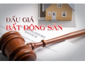 Thủ tục bán đấu giá tài sản